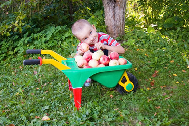 Similar image 229870