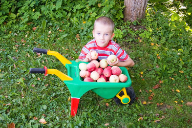 Similar image 229871