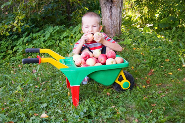 Similar image 229872