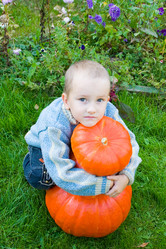 Similar image 229877