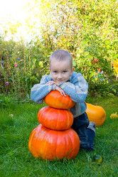 Similar image 229878