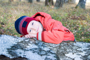 Similar image 229885