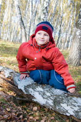 Similar image 229887