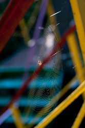 Similar image 229907