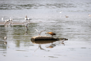 Similar image 229922