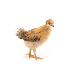 Similar image 229934