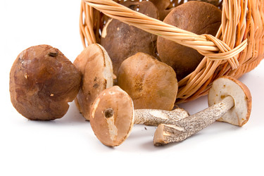 Similar image 229936