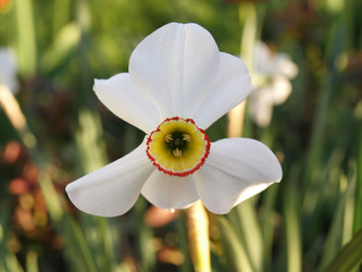 Similar image 229942