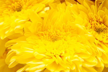 Similar image 229987