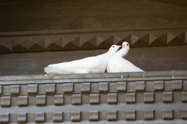 Similar image 230012