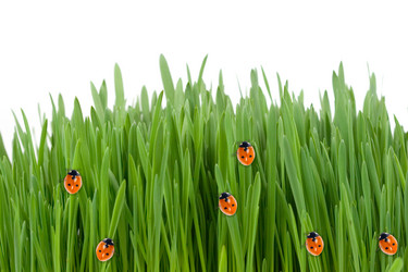 Similar image 230013