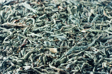 Similar image 230031