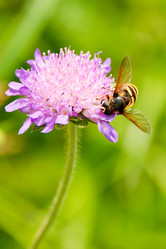 Similar image 230033