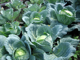 Similar image 230045