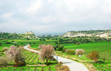 Similar image 230119