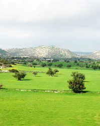 Similar image 230122