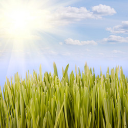 Similar image 230153