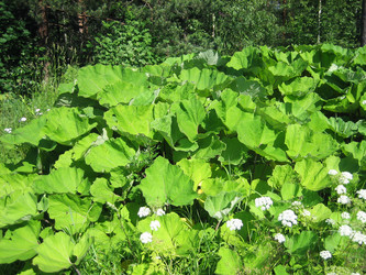 Similar image 230157