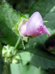 Similar image 230158