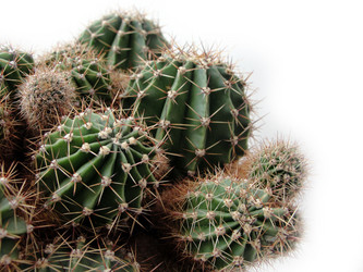 Similar image 230172