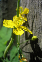 Similar image 230182