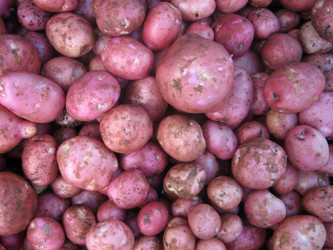 Similar image 230189