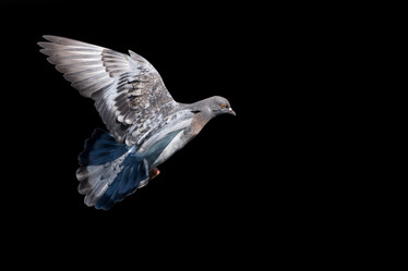 Similar image 230214