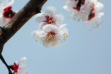 Similar image 230238