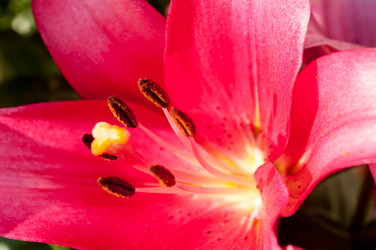 Similar image 230274