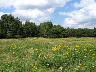 Similar image 230275