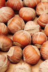 Similar image 230297