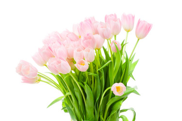 Similar image 230303