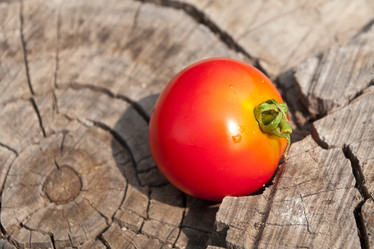 Similar image 230304