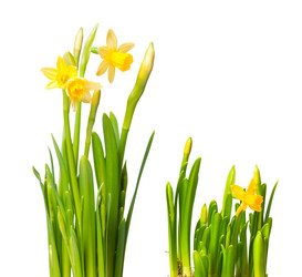 Similar image 230311