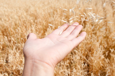 Similar image 230313