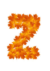 Similar image 230317