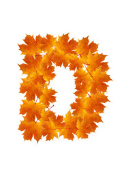 Similar image 230318