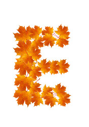 Similar image 230320