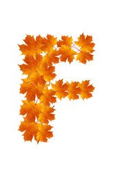 Similar image 230322