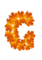 Similar image 230323