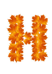 Similar image 230325