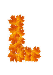 Similar image 230328