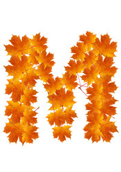 Similar image 230329