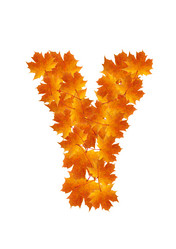 Similar image 230330