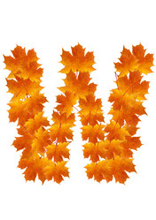 Similar image 230335