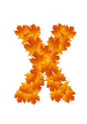 Similar image 230338