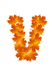 Similar image 230339