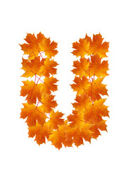 Similar image 230341