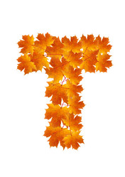 Similar image 230343