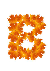 Similar image 230345